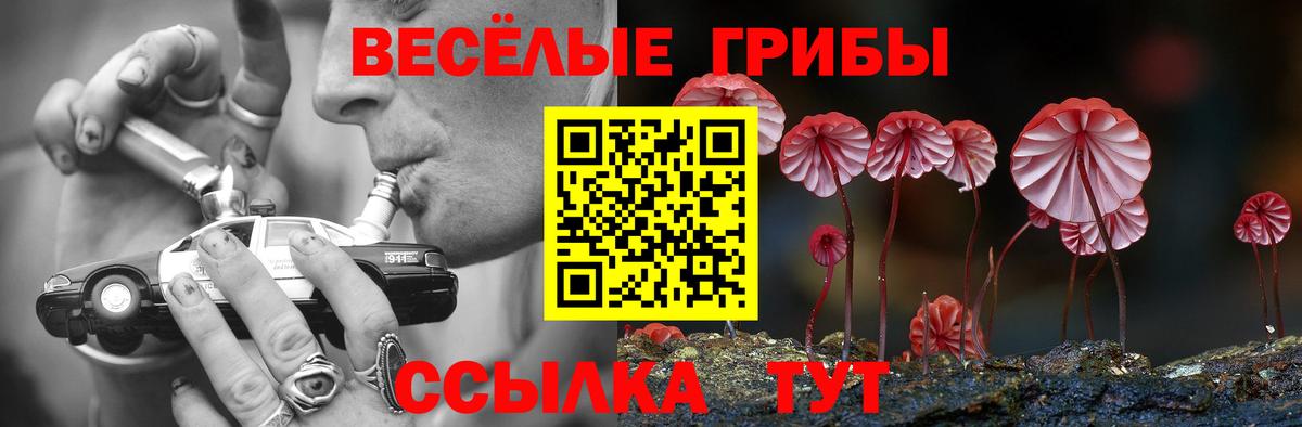 Псилоцибиновые грибы Psilocybe Красный Сулин